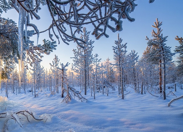 Предпоследняя неделя зимы в Татарстане отметится 29-градусным морозом