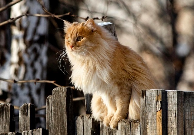 Температурные перепады от -9 до +13 градусов ожидаются в Татарстане в начале выходных