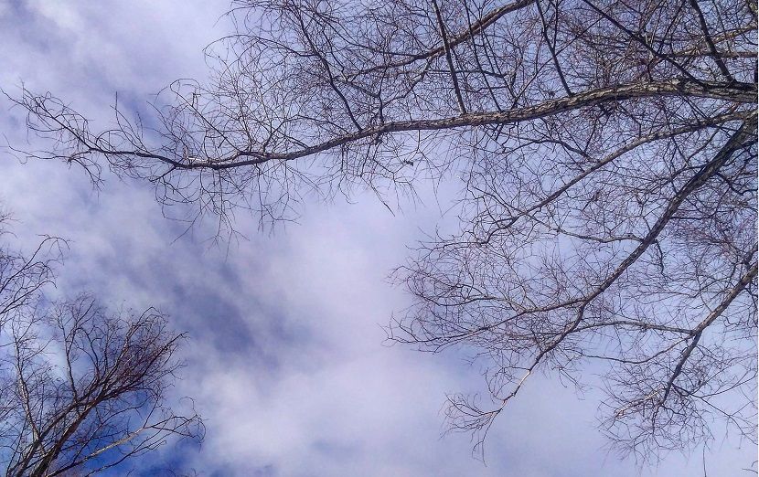 Температура в Татарстане 14 октября составит +19 градусов