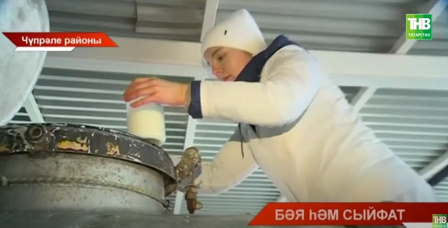Авыл хуҗалыгы министрлыгы белгечләре Татарстан районнарындагы сөт җыю бәяләрен тикшерә башлады