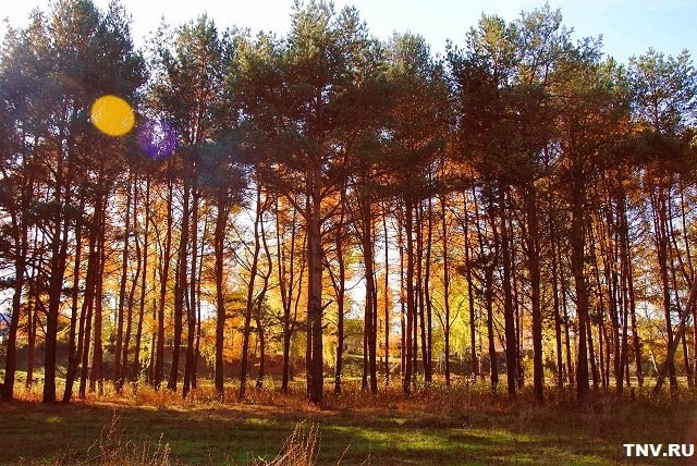 Новое штормовое предупреждение объявили в Татарстане