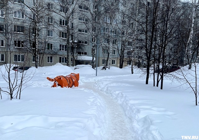 Зима напоследок даст жару: Гидрометцентр Татарстана дал прогноз до конца февраля 