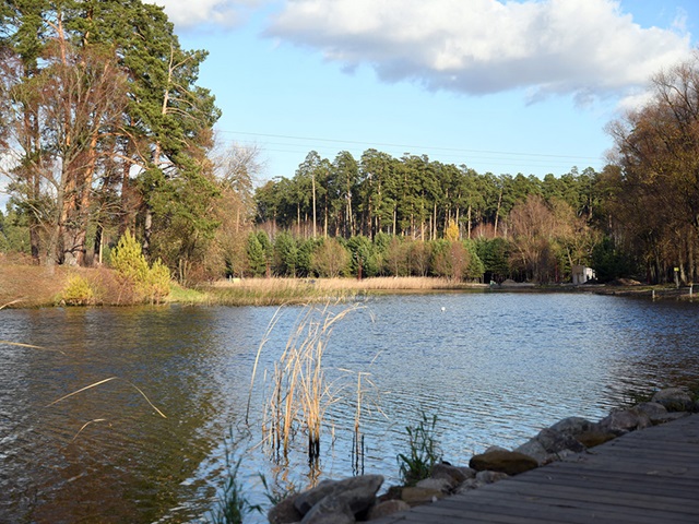 Tatarka, Tesla Boy и Fauzia выступят на экофестивале «Вместе просто» в Казани