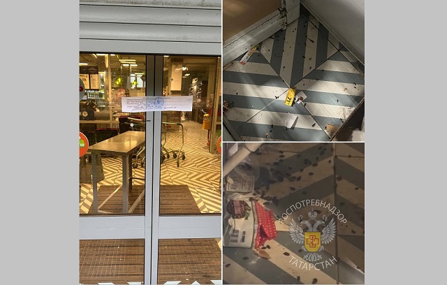 В Казани один из магазинов «Пятерочка» закрыли на два месяца из-за грызунов