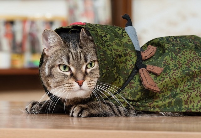 Стал известен прогноз погоды в Татарстане на День защитника Отечества