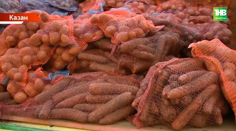  25 октябрьдә Татарстанда авыл хуҗалыгы ярминкәләре узачак