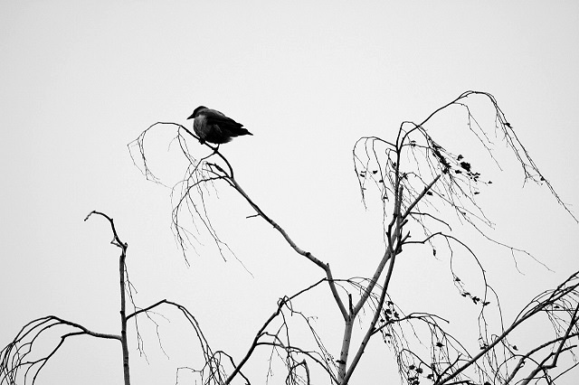 Татарстан халкын салкын һәм яңгырлы шимбә көтә