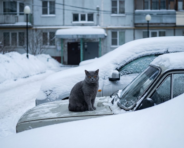 Март җитсә дә, кыш әле китәргә теләми: Татарстанга кабат карлы-буранлы, салкын көннәр әйләнеп кайта