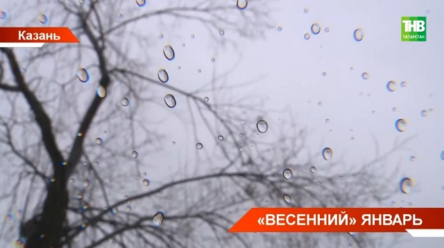 «Весенний» январь: сколько в Татарстане продлится аномальное  тепло и каковы последствия