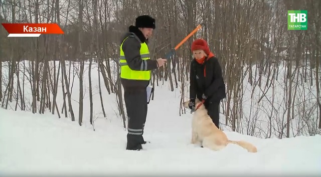 Ел башыннан Татарстанда этләрен чиплаштырмаган өчен 22 кешегә штраф салганнар