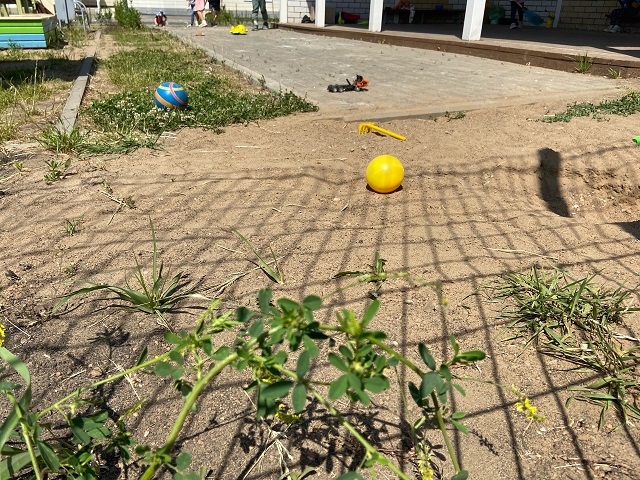 Багаева: в детсадах Казани 1 сентября откроются 20 ясельных групп на 400 мест