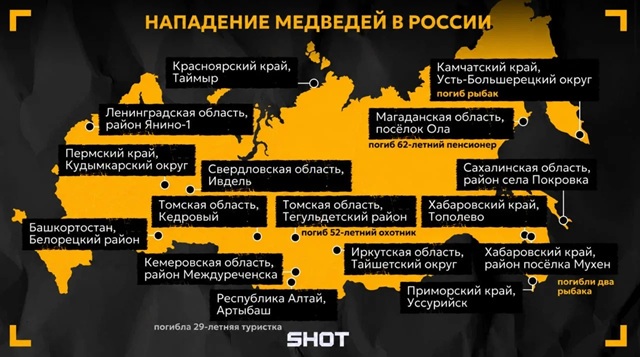В России резко выросло число нападений медведей: 17 случаев, шестеро погибших