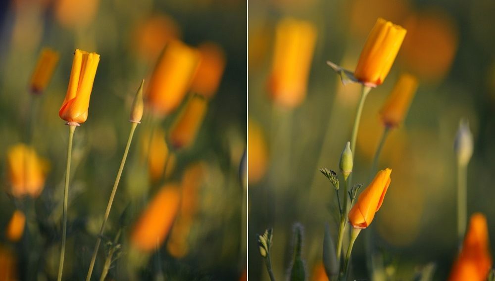 Зонты не пригодятся: 27 мая в Татарстане будет сухо и потеплеет до +24 градусов