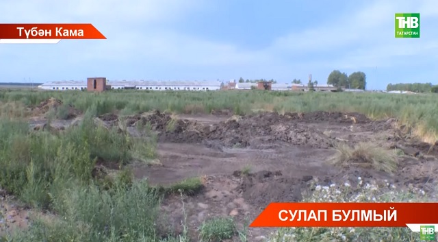 Каенлы авылы халкы фермадан килгән сасы искә зарлана - видео