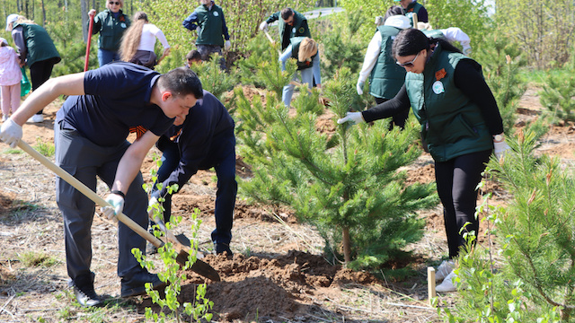 Татарстан вошел в десятку лидеров России по итогам акции «Сад памяти»