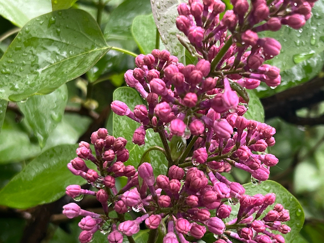 Сильная жара до +32 градусов ожидается в Татарстане