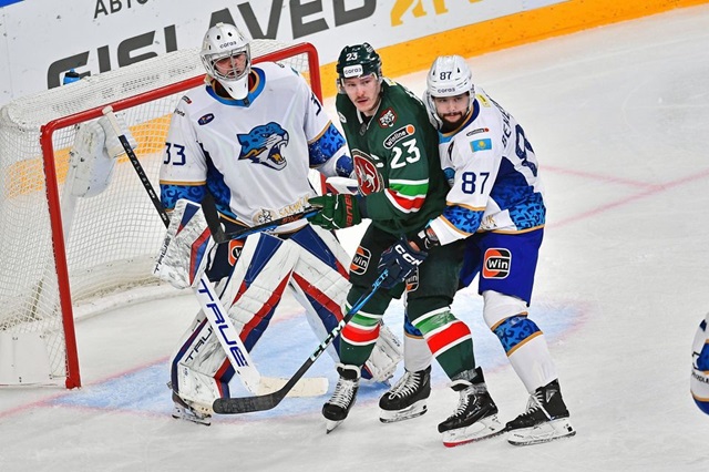 Матч «Ак Барс» - «Барыс» посвятят проблеме сокращения популяции снежных барсов