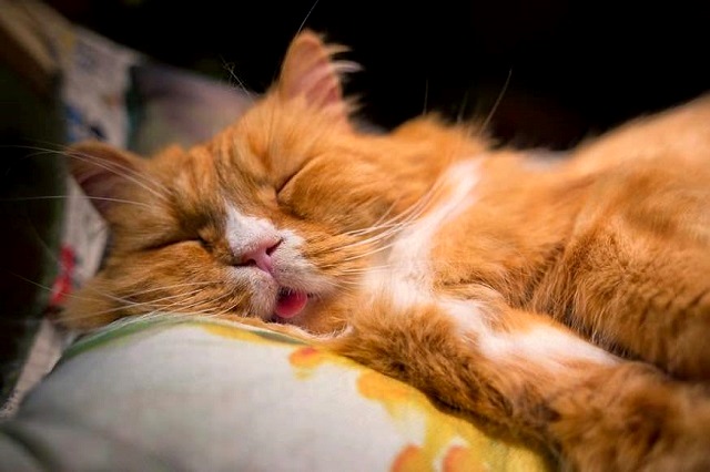 Жителям Татарстана напомнили о мини-каникулах в конце февраля