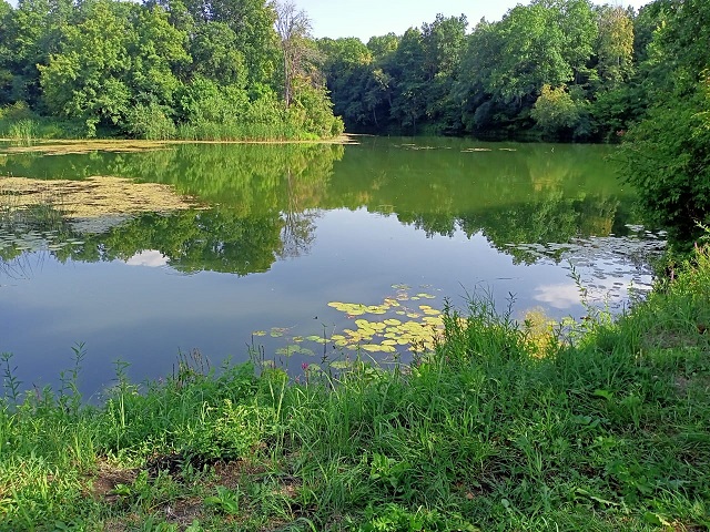 Житель Татарстана утонул в реке после встречи одноклассников