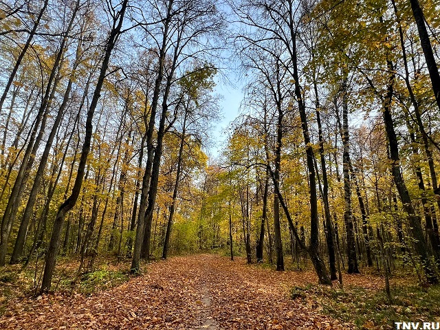 Стало известно, как долго продержится 10-градусное тепло в Татарстане
