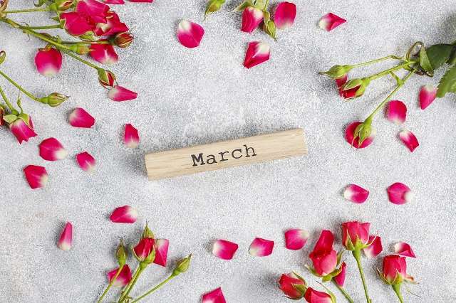 Март 2024 года может стать одним из самых сухих в XXI веке