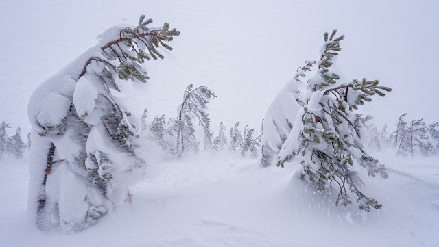 Четыре дня ада: Татарстан накроет циклонический десант с ветром, дождем и «плюсом»