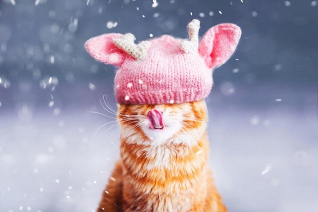 Кар бураны һәм бозлавык - 25 октябрь нинди булачак?