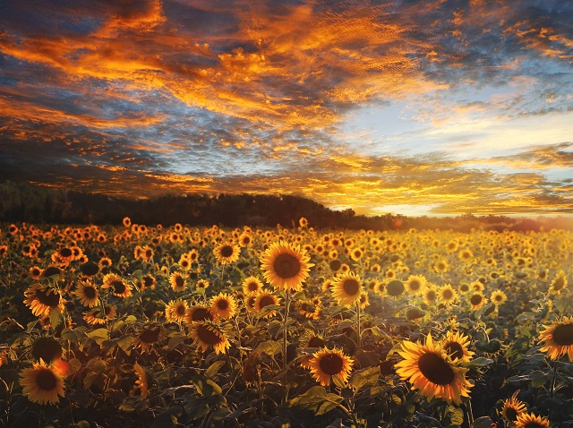 Похолодание до +8 градусов ждет Татарстан: погода экватора августа