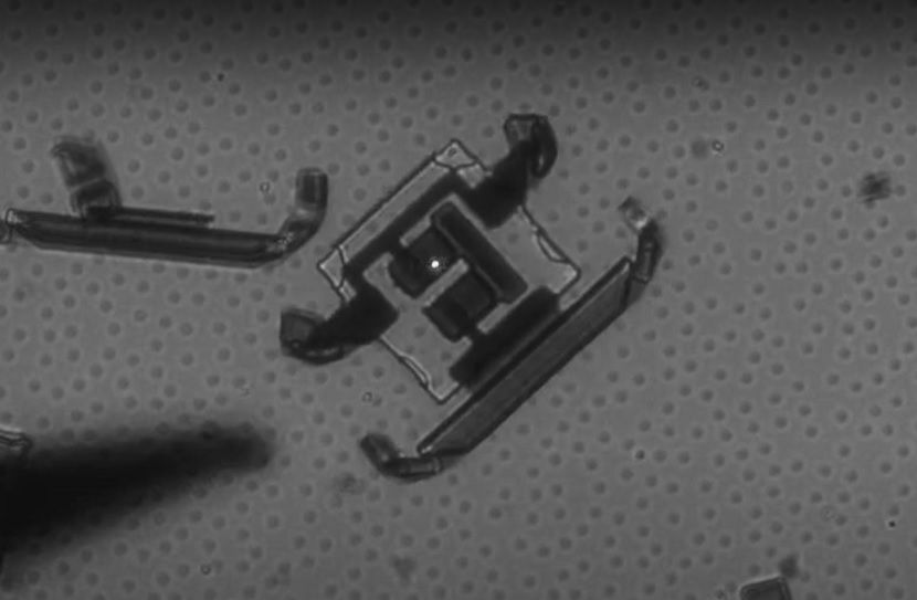 Созданы микророботы, доставляющие лекарства прямо в органы