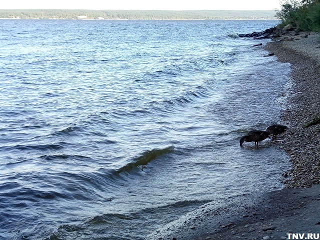 Август в Татарстане начнется с 32-градусной жары и гроз