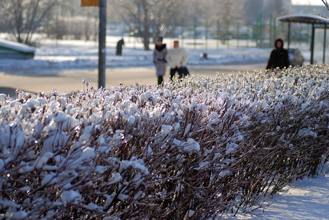 В центре европейской России впервые в 2025 году ожидается похолодание ниже нормы