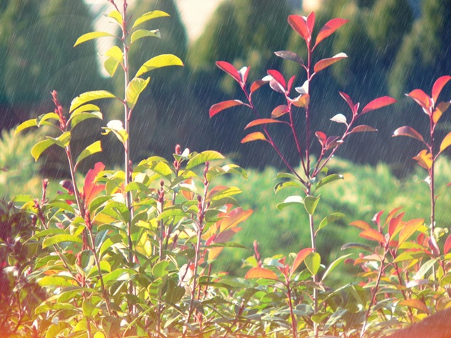 Синоптик Ильин: сильные дожди ожидаются в Татарстане в августе