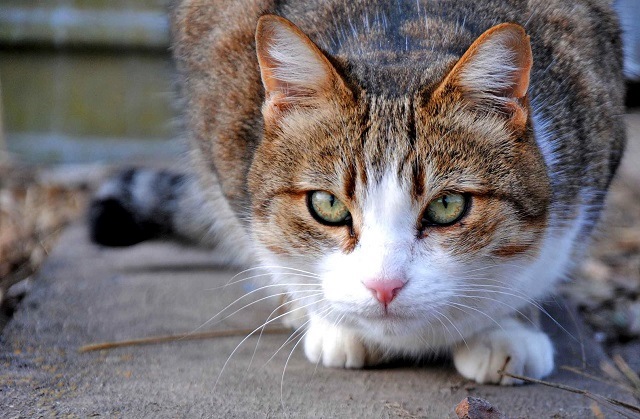 20 мая в Татарстане сохранится промозглая погода