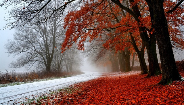 Небольшие осадки и до 4 градусов тепла ждут в Татарстане в преддверии пятницы
