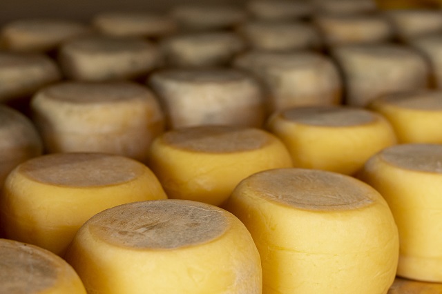 В сыре татарстанской компании обнаружили растительные жиры