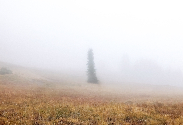 Гидрометцентр: в ближайшие сутки в Татарстане ожидается сильный туман