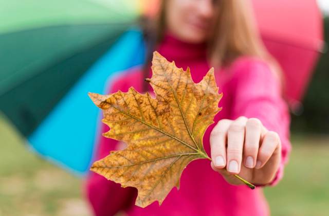 Не по сезону тепло: прогноз на финиш октября в центре РФ дал синоптик