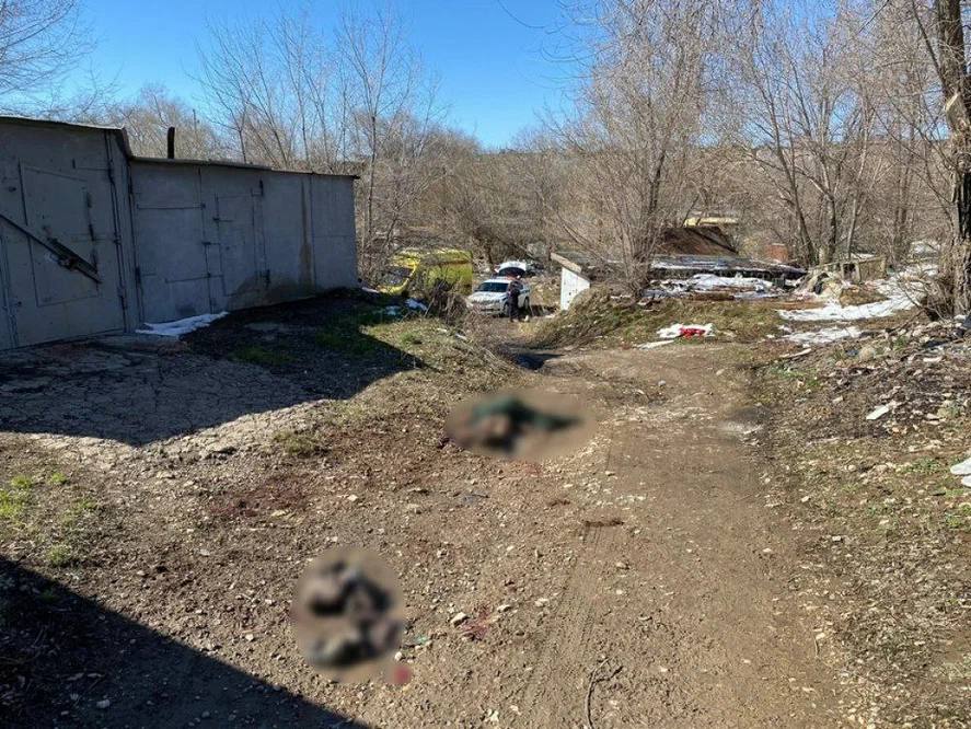 Сукбай этләр 8 яшьлек баланы үтергән 