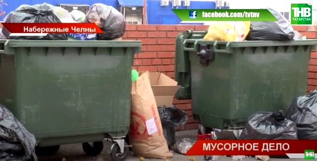 Экологи предложили жителям Набережных Челнов сортировать мусор по двум категориям