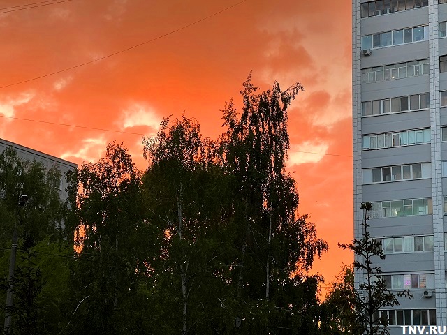 Тропическую жару до +39 градусов предрек Гидрометцентр нескольким регионам РФ