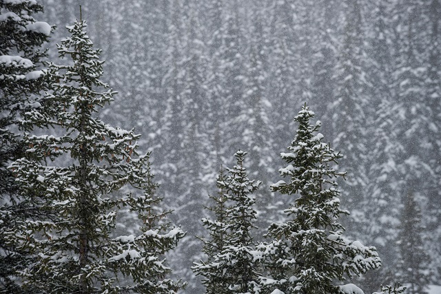 Внимание, опасные явления: снег и гололед надвигаются на несколько округов России