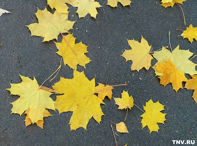 Осень без слякоти: сухой и теплый октябрь ожидается в Татарстане 