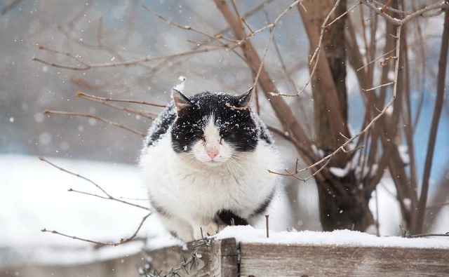 На небесном фронте без перемен: 14 марта в Татарстане сильный ветер и мокрый снег