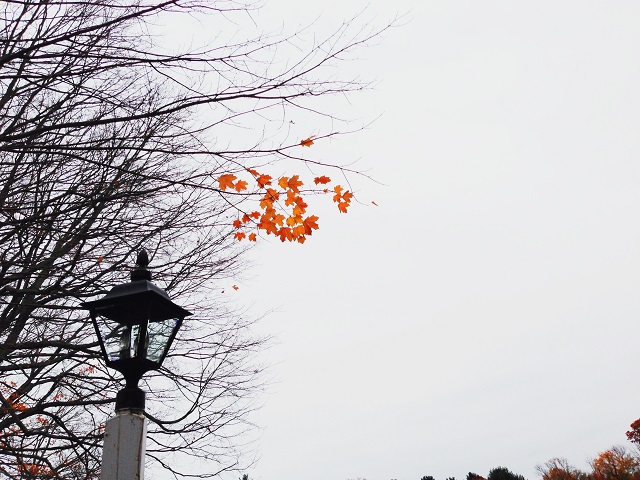 Минус сменится на плюс даже ночью: в Татарстан пробивается потепление