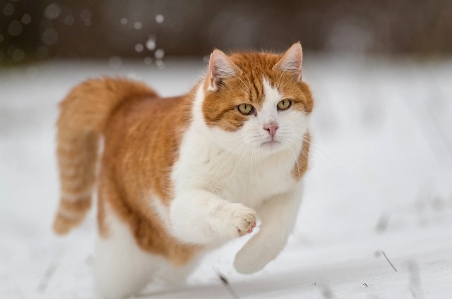 Татарстанда кайчан җылыта башлаячагы билгеле булды