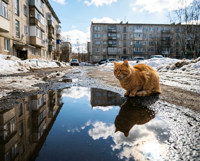 27 мартта Татарстанда яңгыр, җепшек кар һәм +15 градуска кадәр җылыну көтелә