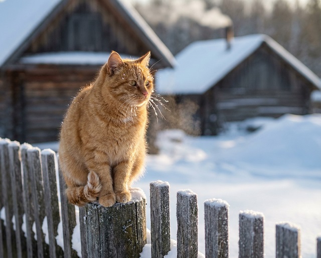 32-градусные морозы нагрянут в Татарстан в середине недели