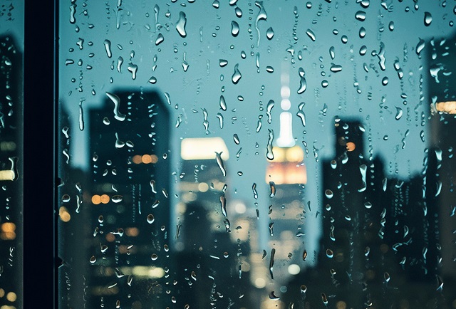 Осень и 40% месячной нормы осадков обрушатся на Москву