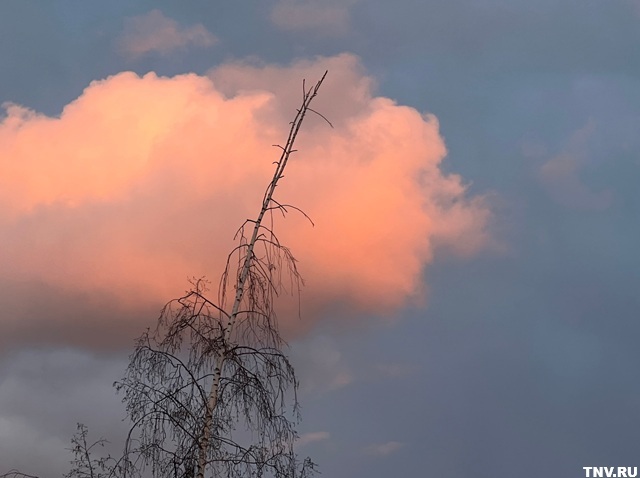 Порывы до 17 м/с: в Татарстане снова разгуляется стихия