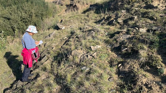 Биологи КФУ обнаружили краснокнижные мхи, грибы и растения в Азнакаевском районе РТ